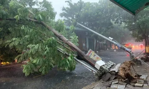 Đà Nẵng: Mất điện, gẫy đổ cây xanh, cột điện do bão số 5 tiến vào bờ